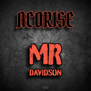 Mr Davidson cover